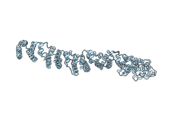 5GNC image