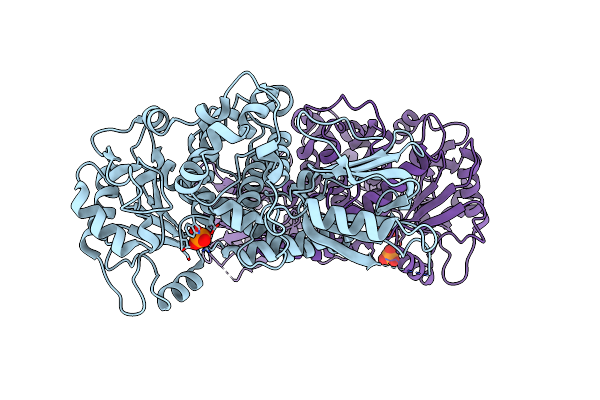 5GNH image