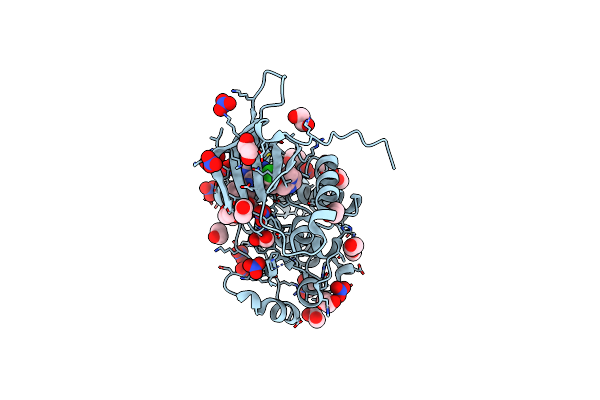 5GNK image