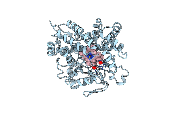 5GNL image