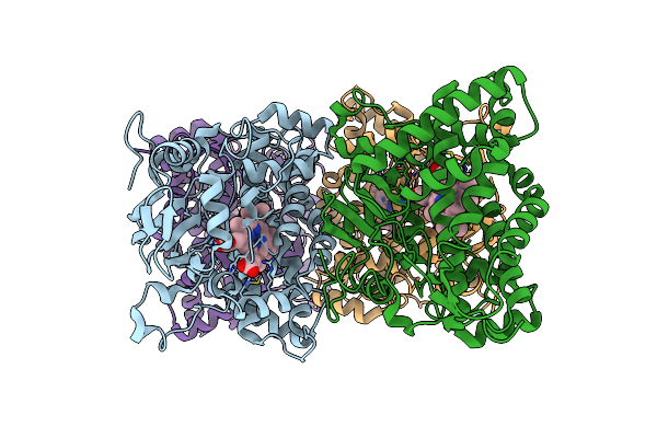 5GNM image