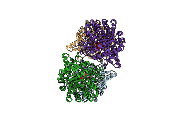 5GNY image