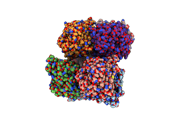 5GNZ image