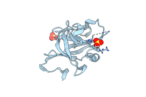 5GO6 image