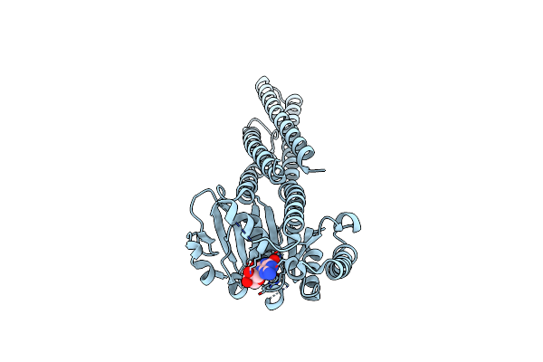 5GOE image