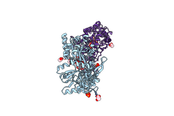 5GPP image