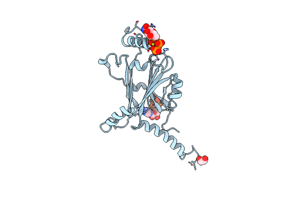 5GQL image