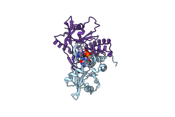 5GRM image