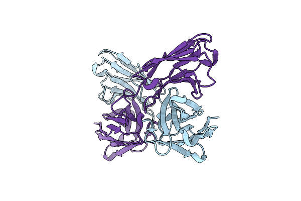 5GRX image