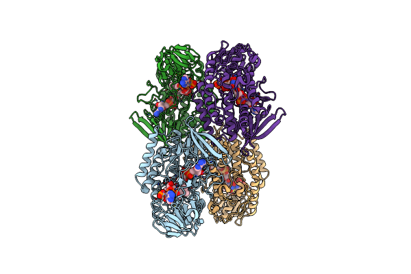 5GSN image