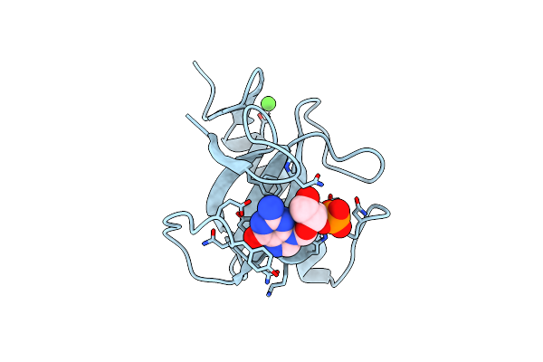 5GSP image
