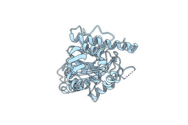 5GSY image