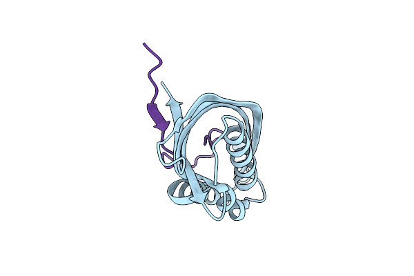 5GTB image
