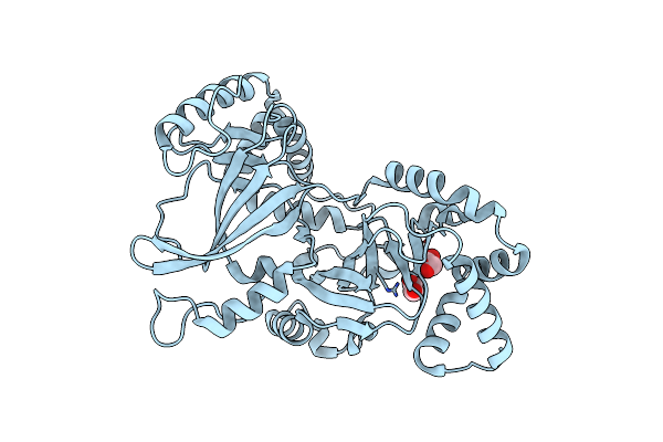5GTT image