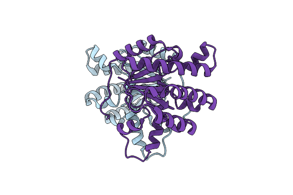 5GUK image