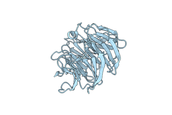 5GVA image