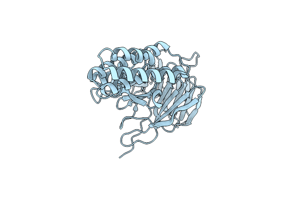 5GVB image