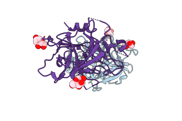 5GVT image