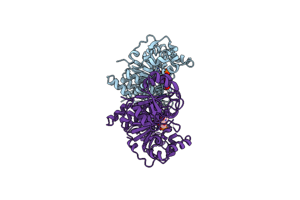5GVV image