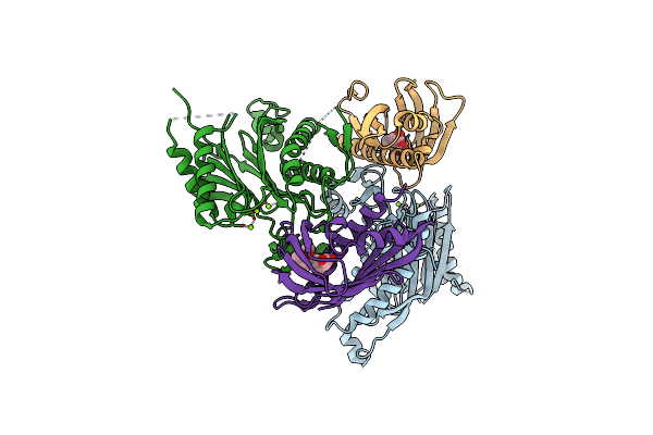 5GWP image