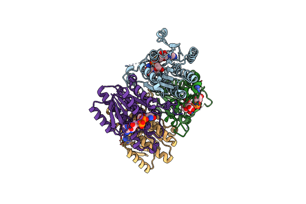 5GWS image