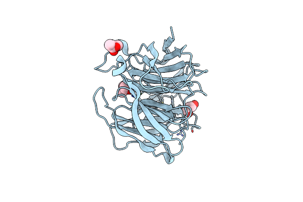 5GX2 image