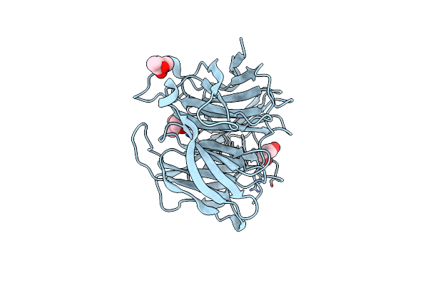 5GX4 image
