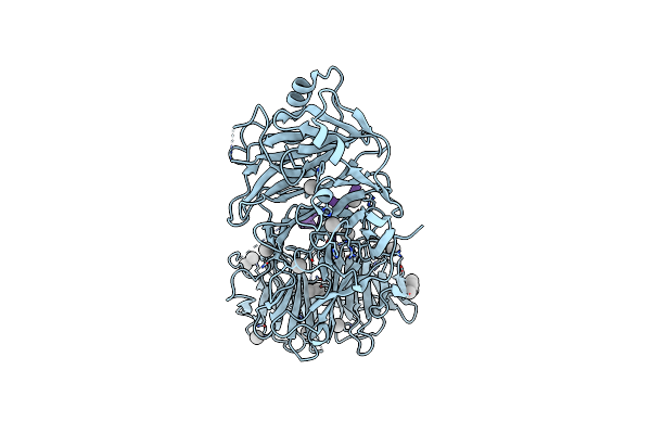 5GXI image