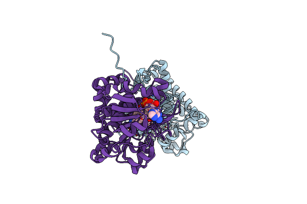 5GZM image