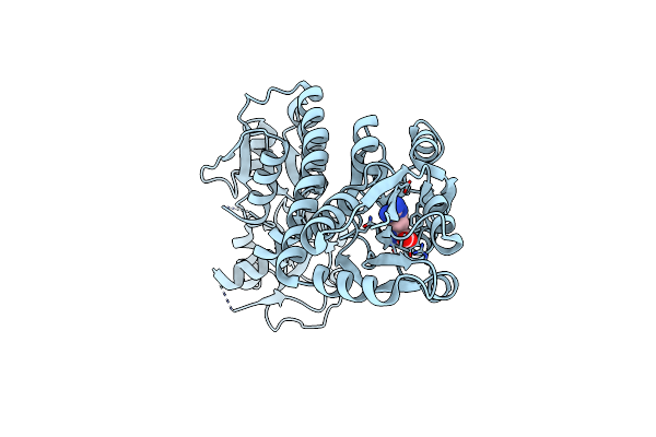 5GZS image