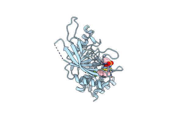 5H08 image