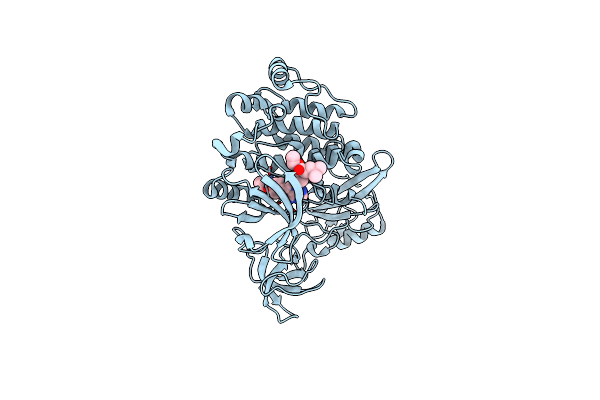 5H09 image