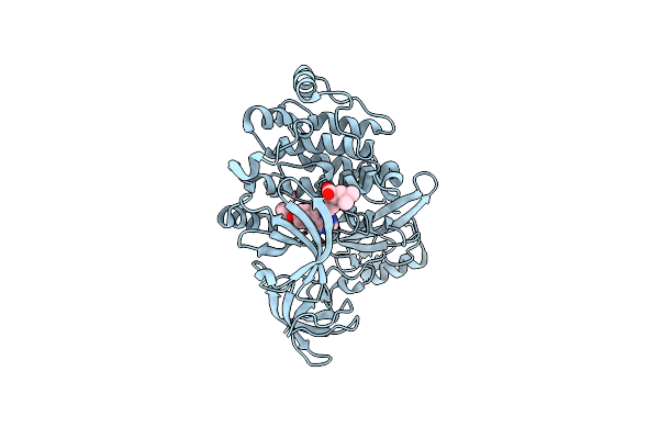 5H0B image