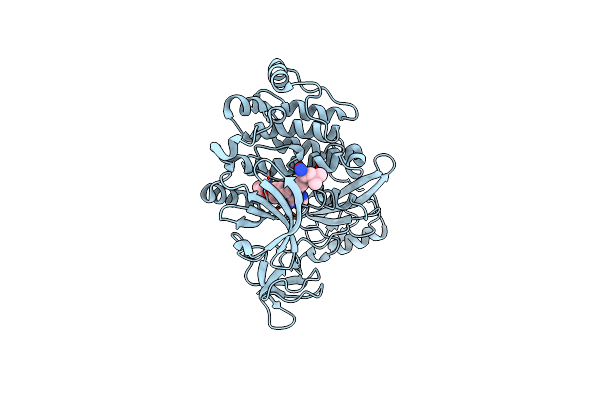 5H0E image