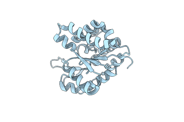 5H0J image