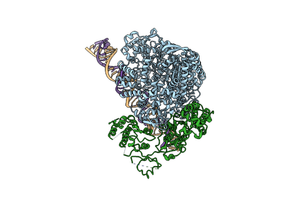 5H0R image