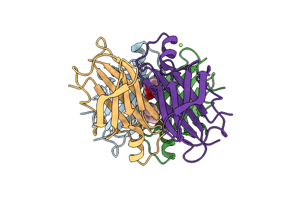 5H0V image