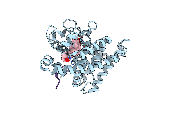 5H1E image