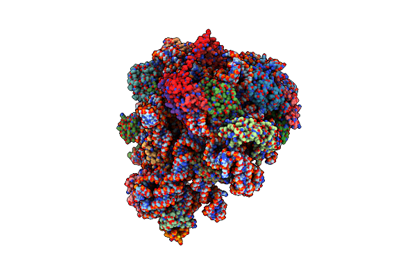 5H1S image