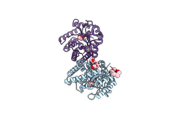 5H1W image