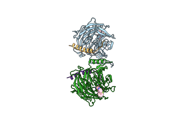 5H25 image