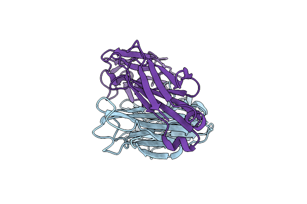 5H2B image