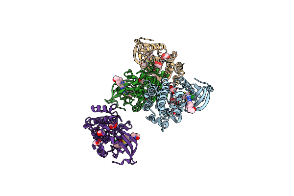 5H2U image