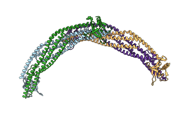 5H3D image
