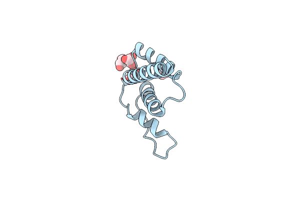 5H3G image