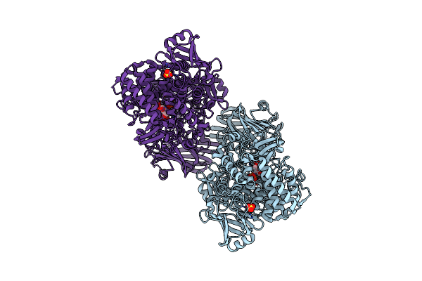5H41 image
