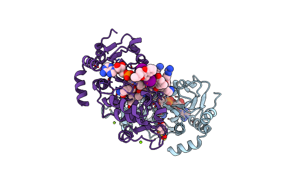 5H4D image
