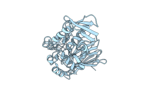 5H4E image