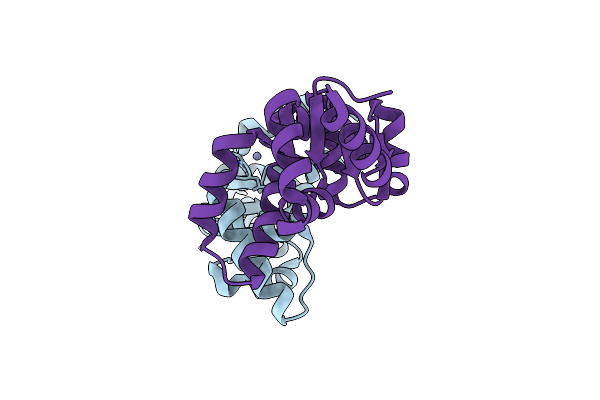 5H4G image