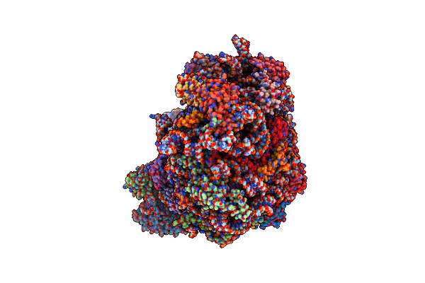 5H4P image